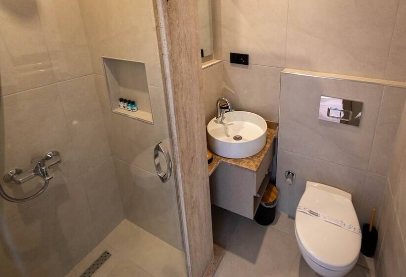 اتاق استاندارد, Sinop Antik