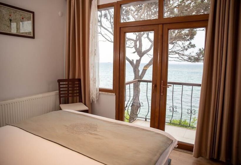 اتاق استاندارد, Sinop Antik