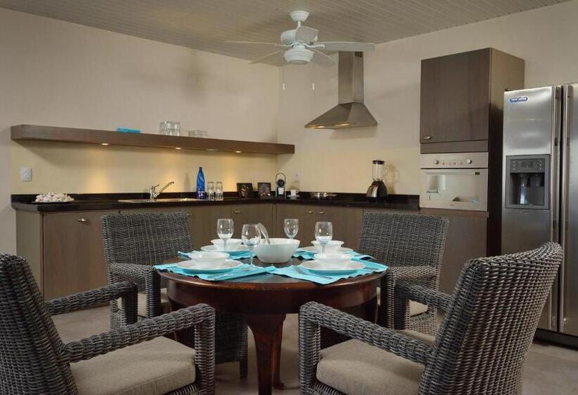 سوئیت با تخت بزرگ, Belmar Oceanfront Apartments