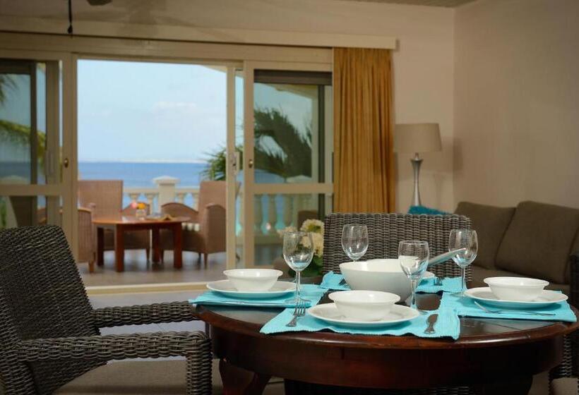 سوئیت با تخت بزرگ, Belmar Oceanfront Apartments