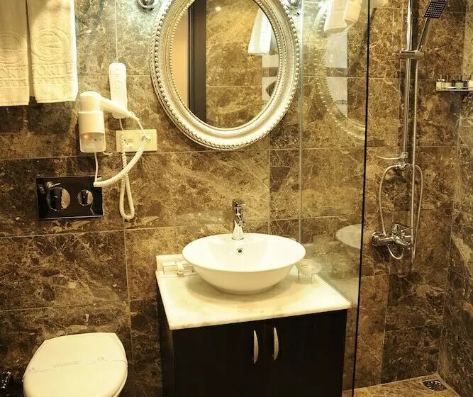 اتاق اکونومی یک تخته, Comfort Elite Hotels Old City