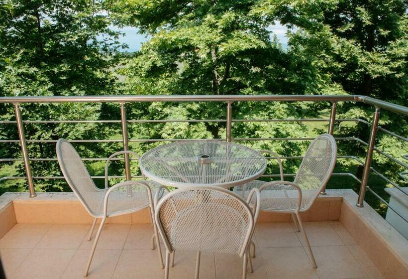 Номер Стандарт Вид на Горы, Giannoulis