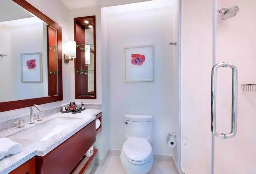 اتاق اجرایی با تخت بزرگ, Guyana Marriott Hotel Georgetown