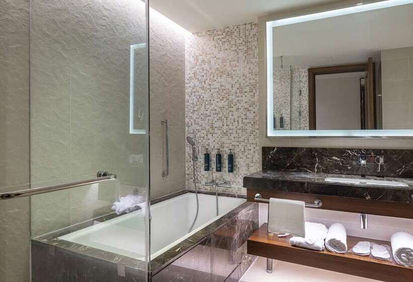 اتاق استاندارد با بالکن و چشم‌انداز دریا, Hilton Batumi