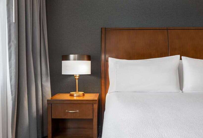 غرفة قياسية, Hilton Garden Inn Burlingtondowntown