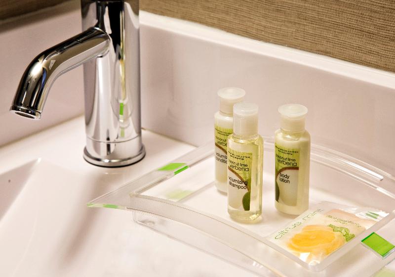 سوئیت اجرایی با تخت کینگ, Holiday Inn Manhattan Financial District, An Ihg