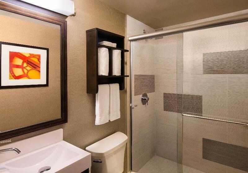 سوئیت اجرایی با تخت کینگ, Holiday Inn Manhattan Financial District, An Ihg