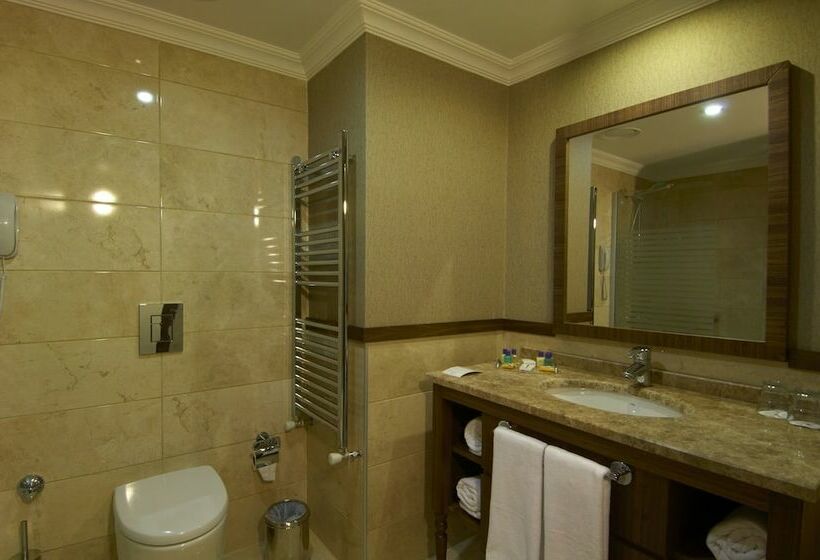 غرفة قياسية, Safran Thermal Resort