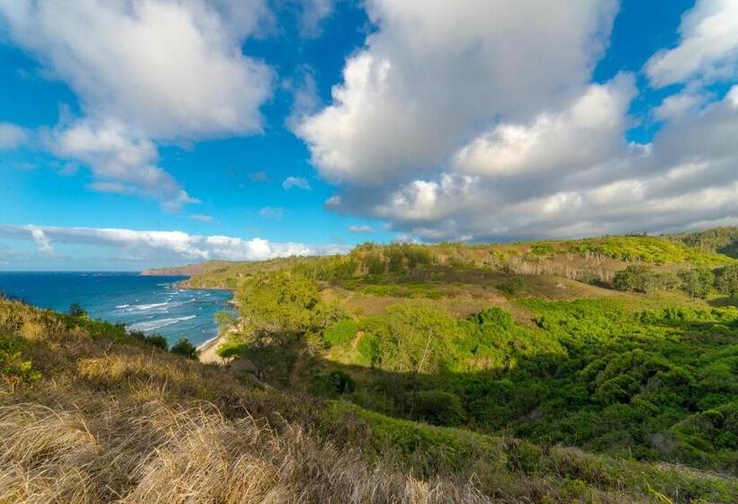 شقة غرفة واحدة, Honua Kai  Konea 213