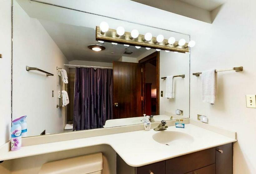 شقة غرفة واحدة, Valley View #831