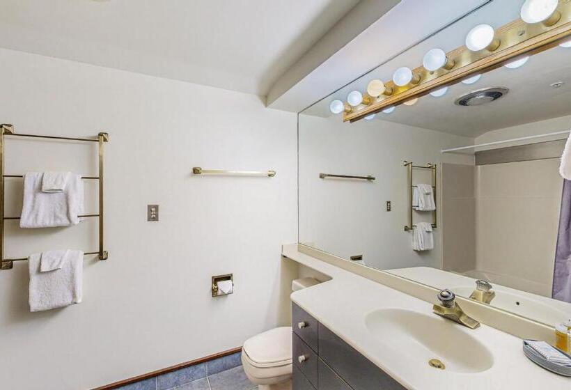 شقة غرفة واحدة, Valley View #831