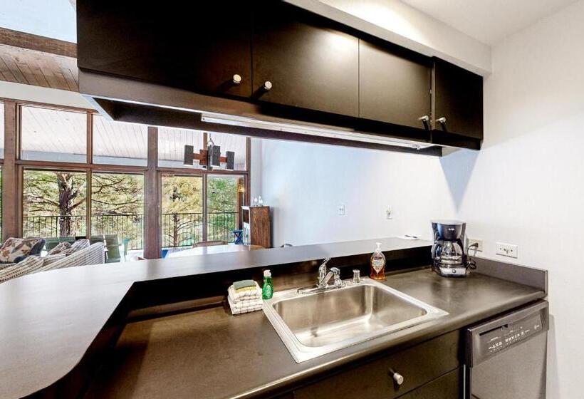 شقة غرفة واحدة, Valley View #831