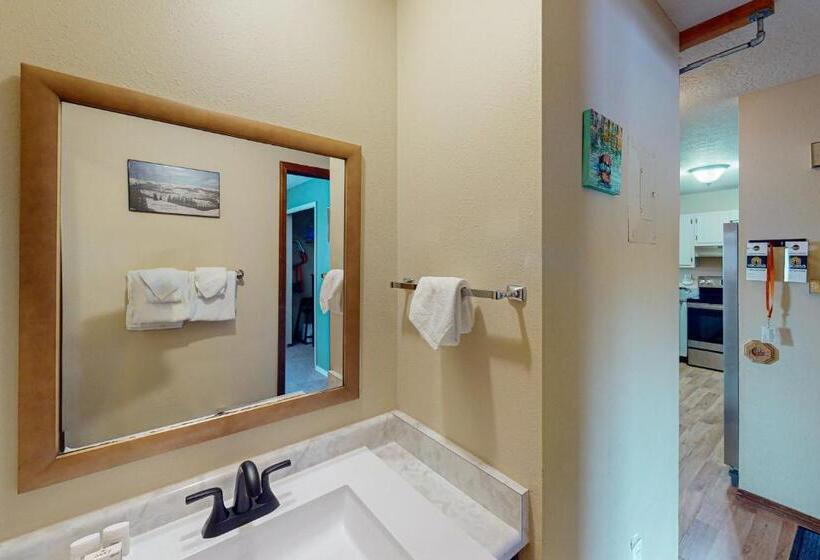 Апартаменты 2 Спальни, Mountian View Condo Unit S303