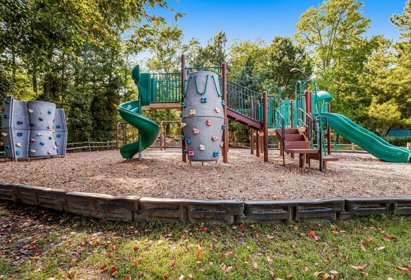 Апартаменты 3 Спальни, Sea Colony 208 Brandywine House