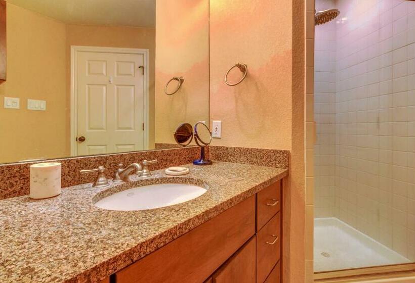 １ベッドルームアパートメント, Texas On The Lake