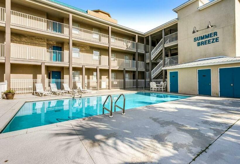 דירת שני חדרים, Summer Breeze 21