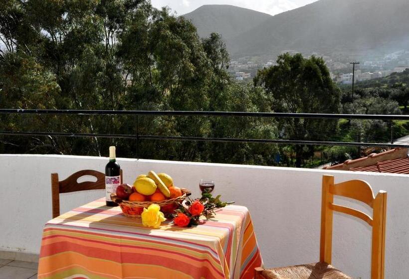 شقة غرفة واحدة, Haris Apartments