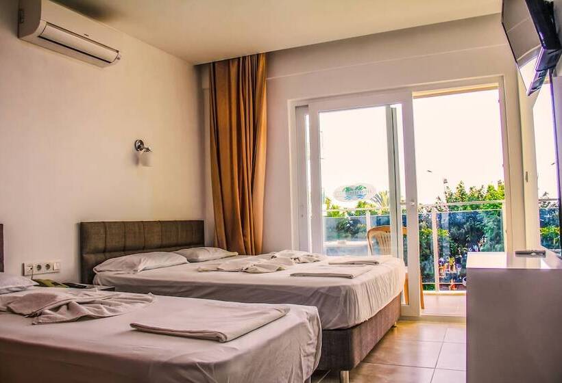 스탠다드 트리플 룸, Aysev