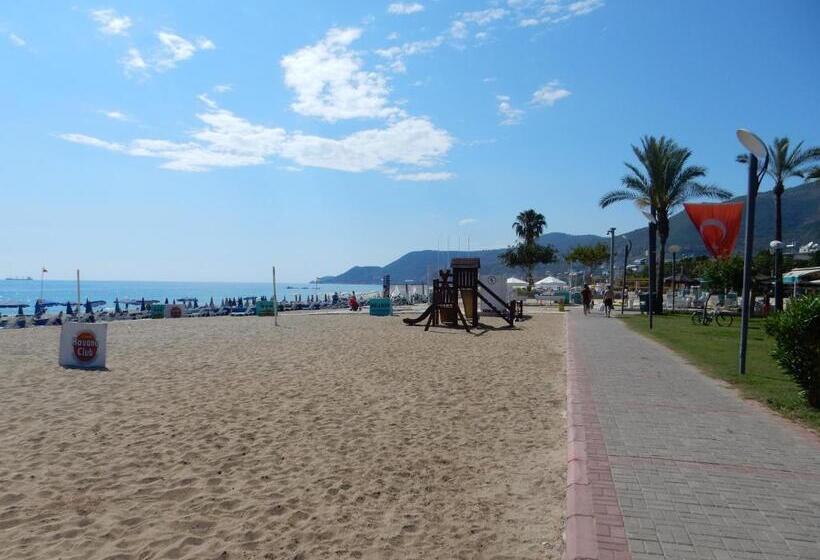 스탠다드 룸, Aysev