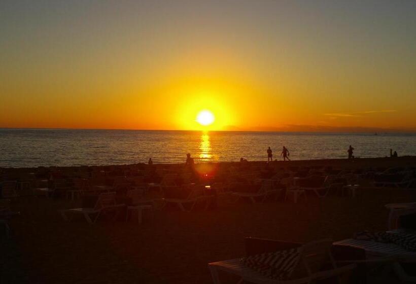 스탠다드 룸, Aysev