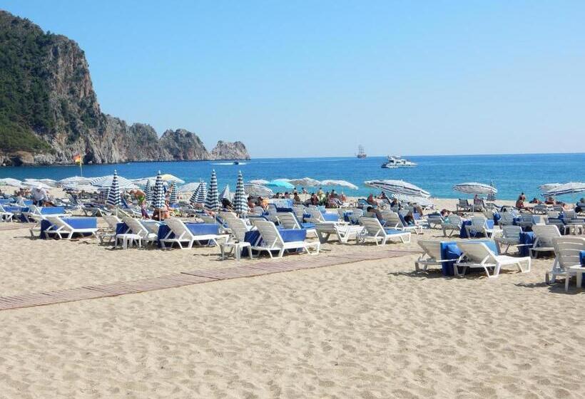 스탠다드 트리플 룸, Aysev