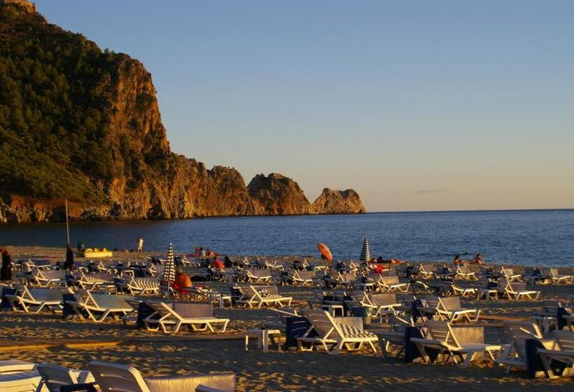 스탠다드 트리플 룸, Aysev