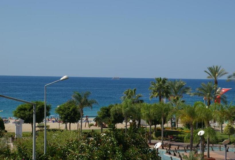 스탠다드 룸, Aysev