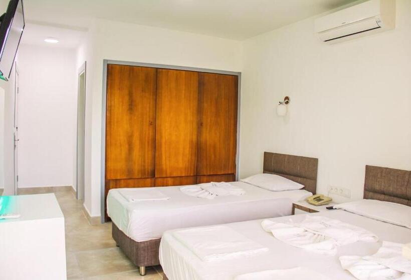 스탠다드 트리플 룸, Aysev