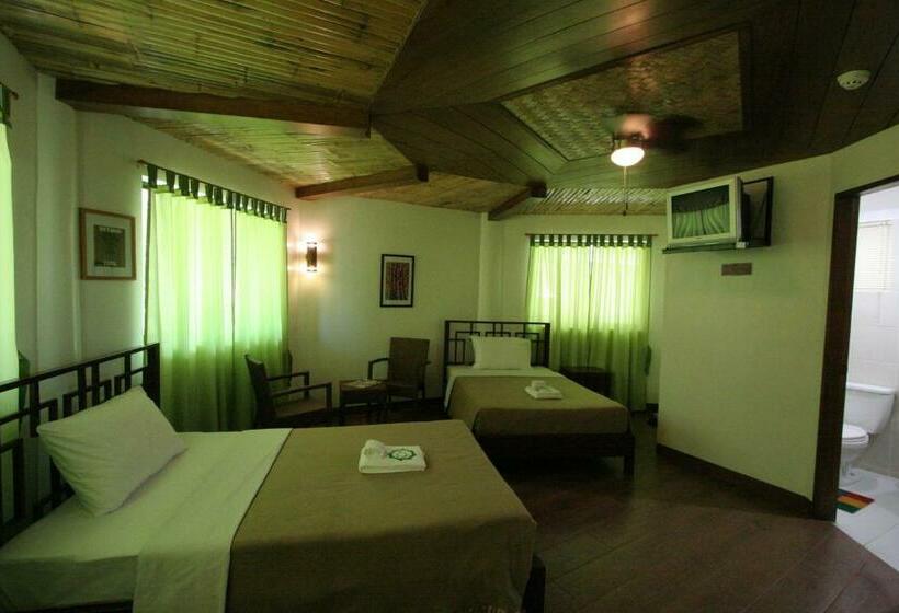 اتاق استاندارد, Coron Hilltop View Resort