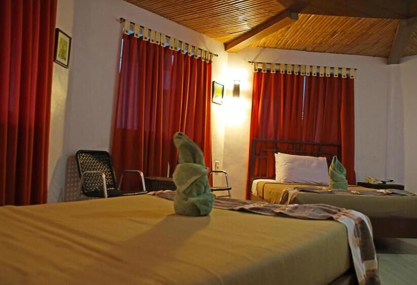 اتاق استاندارد, Coron Hilltop View Resort