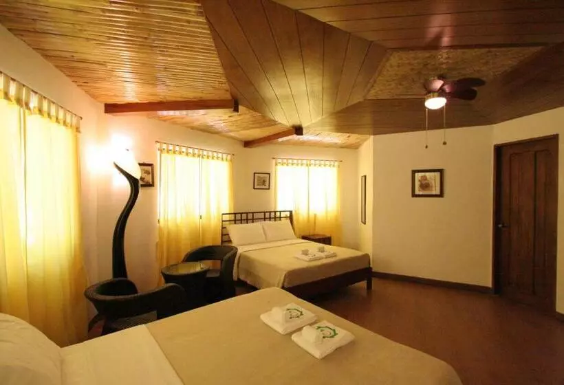 ویلای سوپریور 1 خوابه, Coron Hilltop View Resort