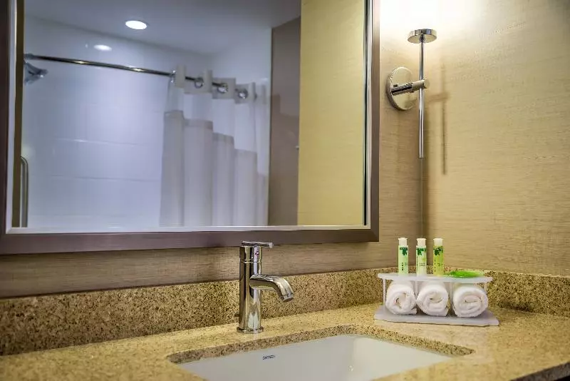 スタンダードルーム, Holiday Inn Express & Suites Spruce Grove Stony Plain, An Ihg