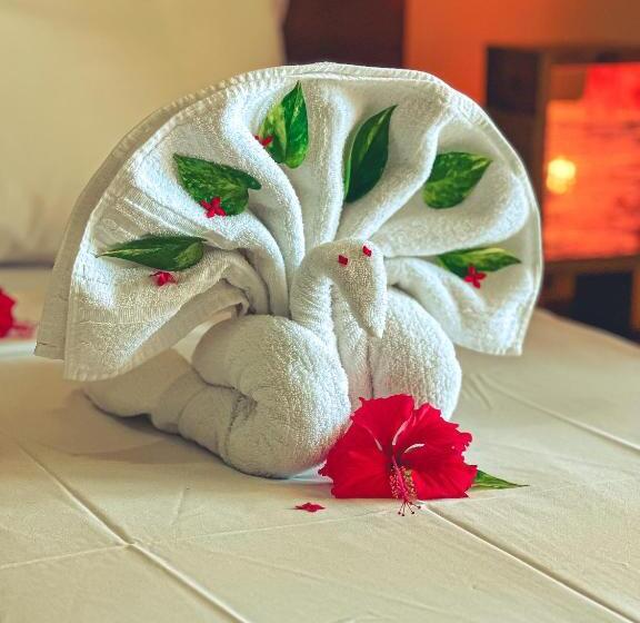 スタンダードルーム, Igarakuê Hotel Pousada