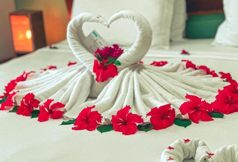 スタンダードルーム, Igarakuê Hotel Pousada