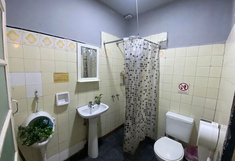 تختخواب در اتاق مشترک, Ideal Social Hostel