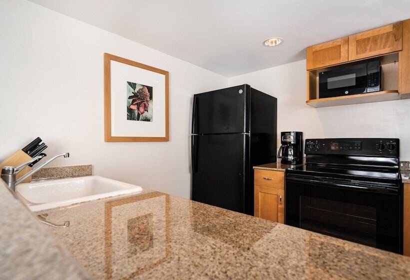 إستوديو قياسي مطل على المدينة, Waikiki Marina Resort At The Ilikai