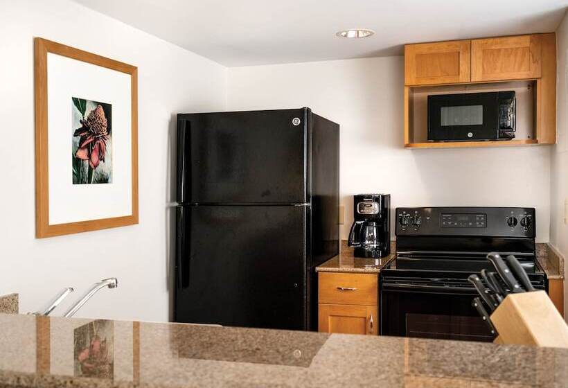 סטודיו סטנדרט נוף לעיר, Waikiki Marina Resort At The Ilikai