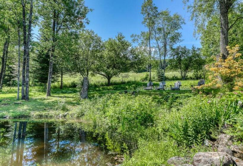 استودیوی استاندارد, Vt Guest Cottage