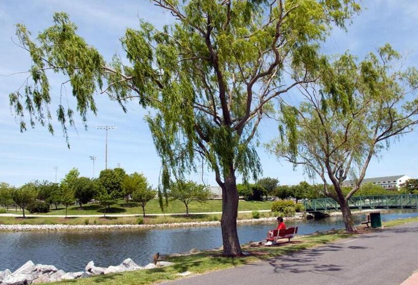 آپارتمان 2 خوابه, Golden Surf