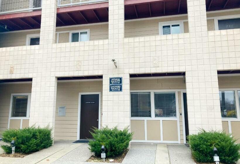 آپارتمان 1 خوابه, Rollin On The River