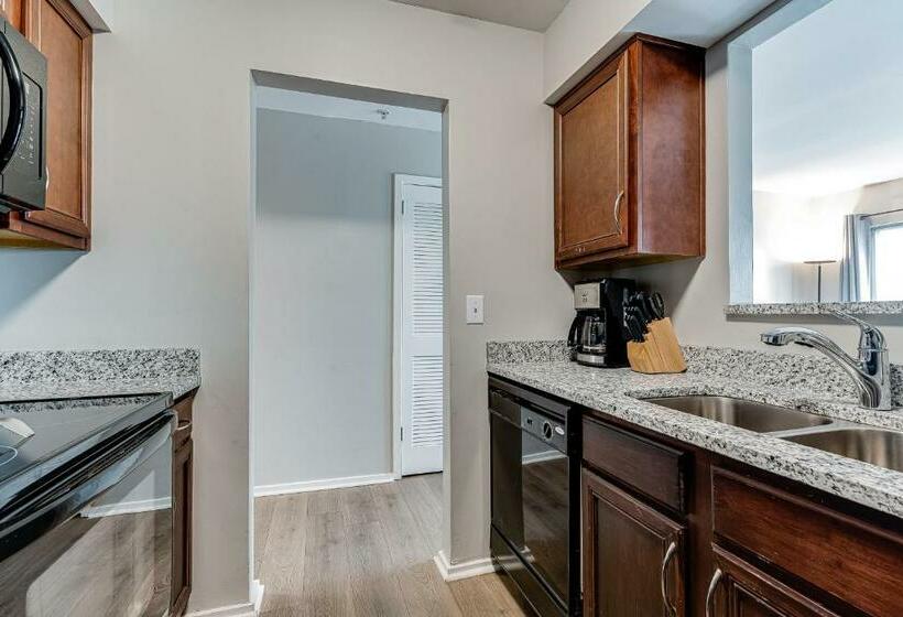 آپارتمان 1 خوابه, Rollin On The River