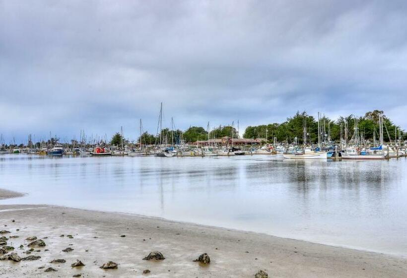 标准工作室, Sequoia Cottage