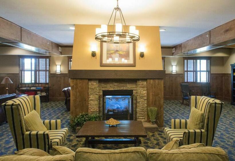 شقة غرفتين, Village Rd 309