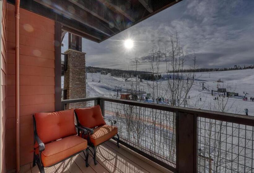 شقة غرفتين, Village Rd 309