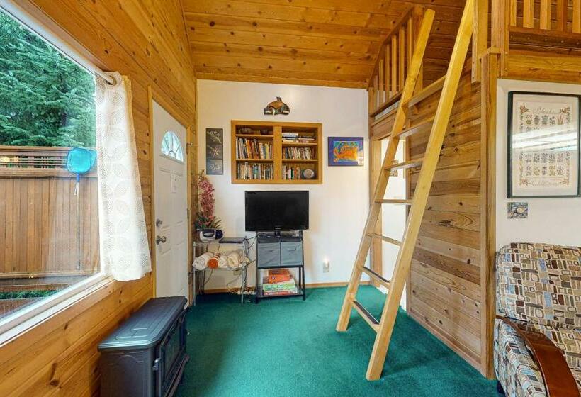 إستوديو قياسى, Christina Cabin