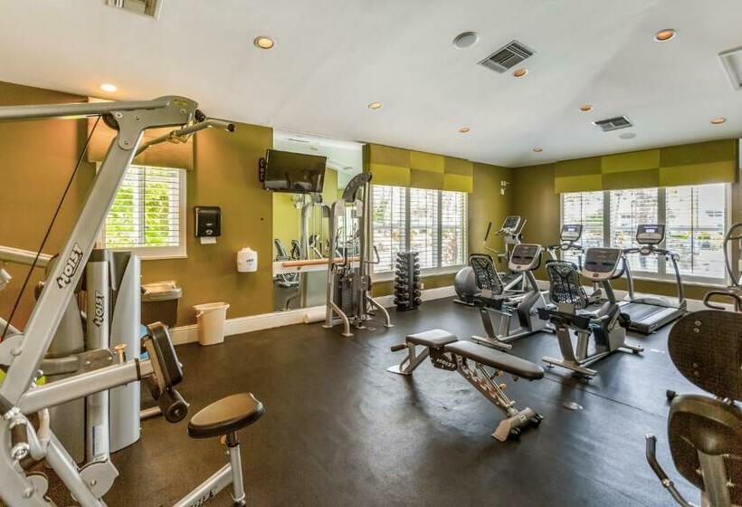 شقة 3 غرف, Lovely Lely