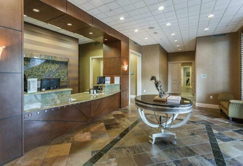 شقة 3 غرف, Lovely Lely