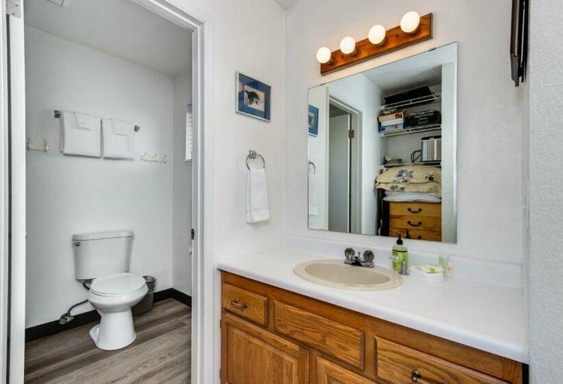 إستوديو قياسى, Neskowin Resort Unit #203