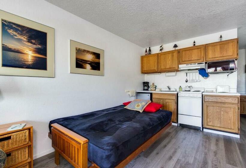 إستوديو قياسى, Neskowin Resort Unit #203