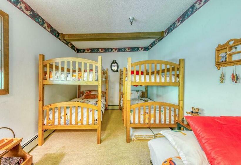 Апартаменты 3 Спальни, Skiway Lodge At Thunderhead